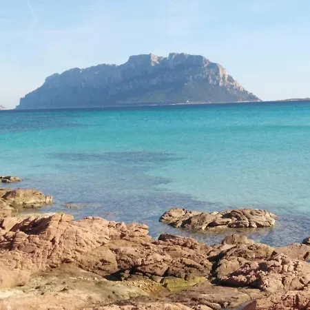 Aria Di Vacanza - Mirtillo * Murta Maria